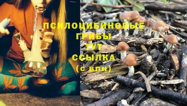 гашишное масло Инта